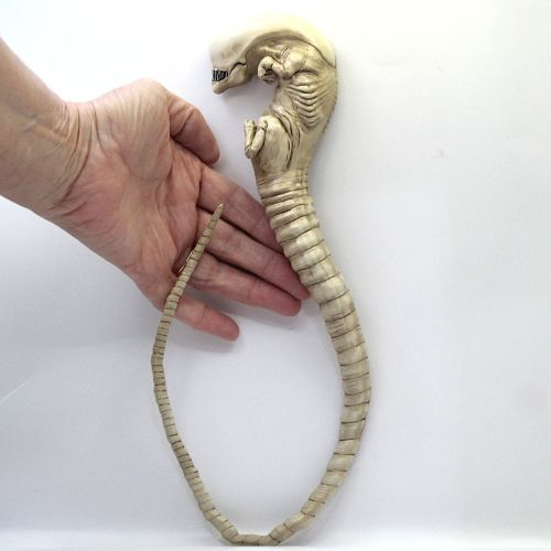Alien Xenomorph Chestburster Wall Art